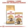 Foto 4 de Royal canin maine coon pienso para gatos de raza maine coon