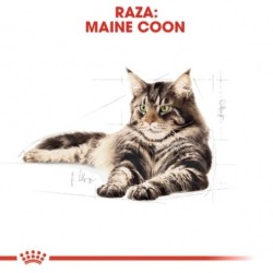 Royal canin maine coon pienso para gatos de raza maine coon