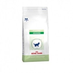 Royal Canin Pediatric weaning pienso para gatitos