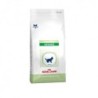 Foto 1 de Royal Canin Pediatric weaning pienso para gatitos