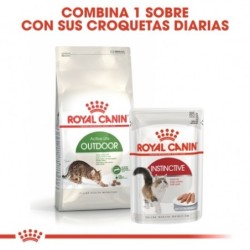 Royal Canin Outdoor 30 gato adulto