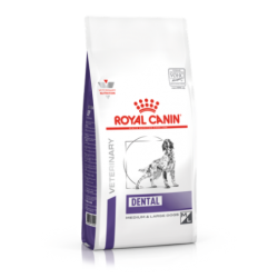 Royal Canin dieta para perros Dental