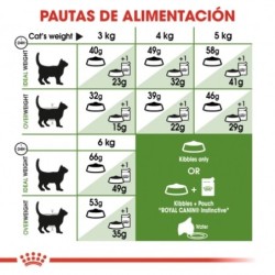 Royal Canin Outdoor 30 gato adulto