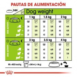 Royal canin X-small Mature +8 pienso para perros mini/toy