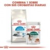 Foto 3 de Royal canin indoor +7 pienso para gatos