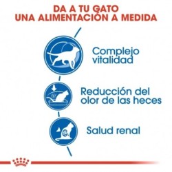 Royal canin indoor +7 pienso para gatos