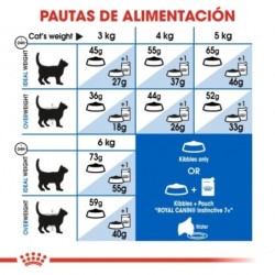 Royal canin indoor +7 pienso para gatos