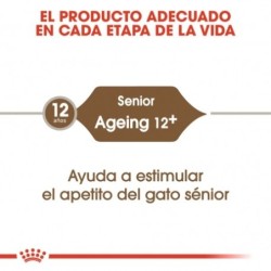 Royal canin Ageing + 12 pienso para gatos