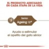 Foto 3 de Royal canin Ageing + 12 pienso para gatos