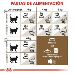 Royal canin Ageing + 12 pienso para gatos