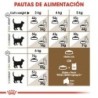 Foto 6 de Royal canin Ageing + 12 pienso para gatos