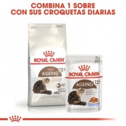 Royal canin Ageing + 12 pienso para gatos