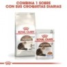 Foto 7 de Royal canin Ageing + 12 pienso para gatos