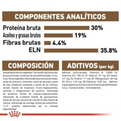 Royal canin Ageing + 12 pienso para gatos