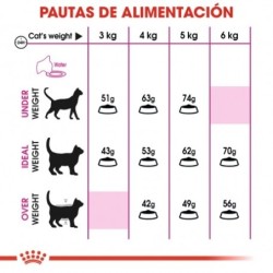 Royal canin exigent 42 protein pienso para gatos