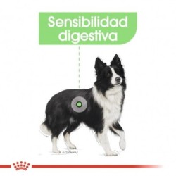 Royal Canin Digestive Care Medium sensibilidad digestiva