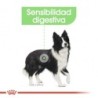 Foto 4 de Royal Canin Digestive Care Medium sensibilidad digestiva