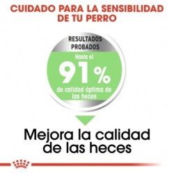 Royal Canin Digestive Care Medium sensibilidad digestiva