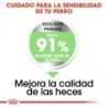 Foto 5 de Royal Canin Digestive Care Medium sensibilidad digestiva