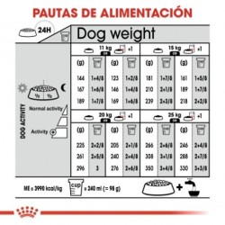 Royal Canin Digestive Care Medium sensibilidad digestiva