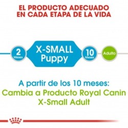 Royal canin X-small adult pienso para perros mini/toy