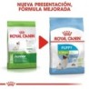 Foto 6 de Royal canin X-small adult pienso para perros mini/toy