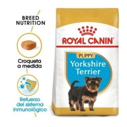 Royal canin Yorkshire junior pienso para Yorkshire joven