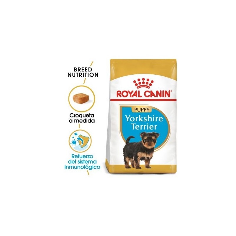 Royal canin Yorkshire junior pienso para Yorkshire joven