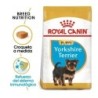 Foto 1 de Royal canin Yorkshire junior pienso para Yorkshire joven