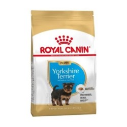 Royal canin Yorkshire junior pienso para Yorkshire joven