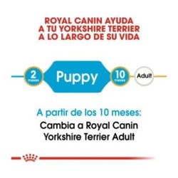 Royal canin Yorkshire junior pienso para Yorkshire joven