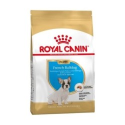 Royal canin Bulldog frances junior pienso para Bulldog frances joven