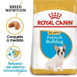 Royal canin Bulldog frances junior pienso para Bulldog frances joven