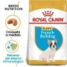 Foto 2 de Royal canin Bulldog frances junior pienso para Bulldog frances joven