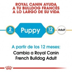 Royal canin Bulldog frances junior pienso para Bulldog frances joven