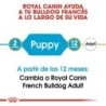 Foto 3 de Royal canin Bulldog frances junior pienso para Bulldog frances joven