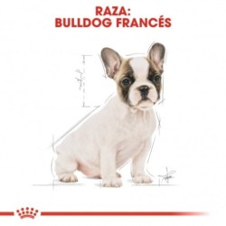 Royal canin Bulldog frances junior pienso para Bulldog frances joven