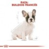 Foto 6 de Royal canin Bulldog frances junior pienso para Bulldog frances joven