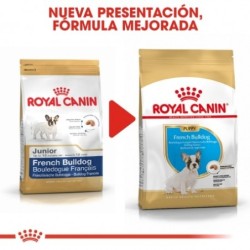 Royal canin Bulldog frances junior pienso para Bulldog frances joven