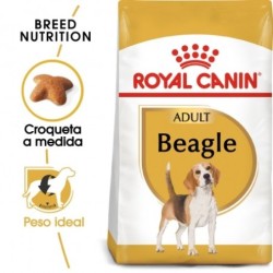 Royal canin pienso para Beagle adulto