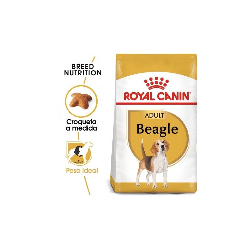 Royal canin pienso para Beagle adulto