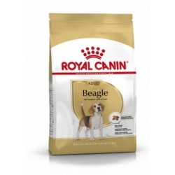 Royal canin pienso para Beagle adulto