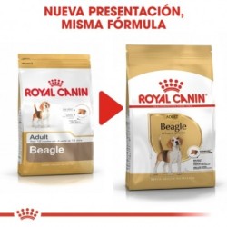 Royal canin pienso para Beagle adulto