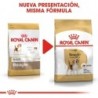 Foto 3 de Royal canin pienso para Beagle adulto