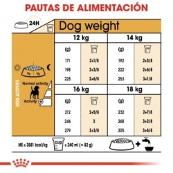 Royal canin pienso para Beagle adulto