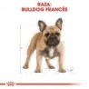 Foto 3 de Royal Canin Bulldog Francés Adulto pienso para raza, Peso 9 Kg