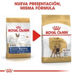 Royal Canin Bulldog Francés Adulto pienso para raza, Peso 9 Kg