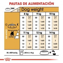 Royal Canin Bulldog Francés Adulto pienso para raza, Peso 9 Kg