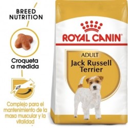 Royal canin pienso para Jack russell adulto