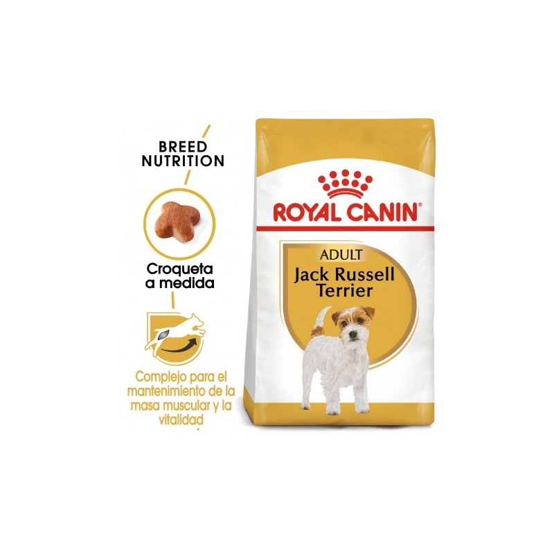 Royal canin pienso para Jack russell adulto